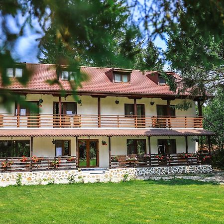 Pensiunea Vinatur Porumbacu de Sus Exterior foto