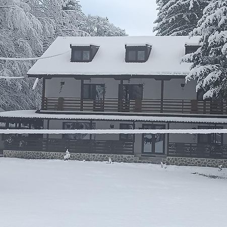 Pensiunea Vinatur Porumbacu de Sus Exterior foto