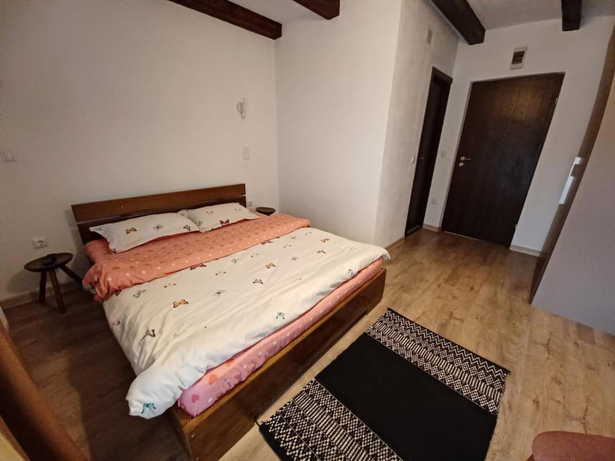 Pensiunea Vinatur Porumbacu de Sus Exterior foto