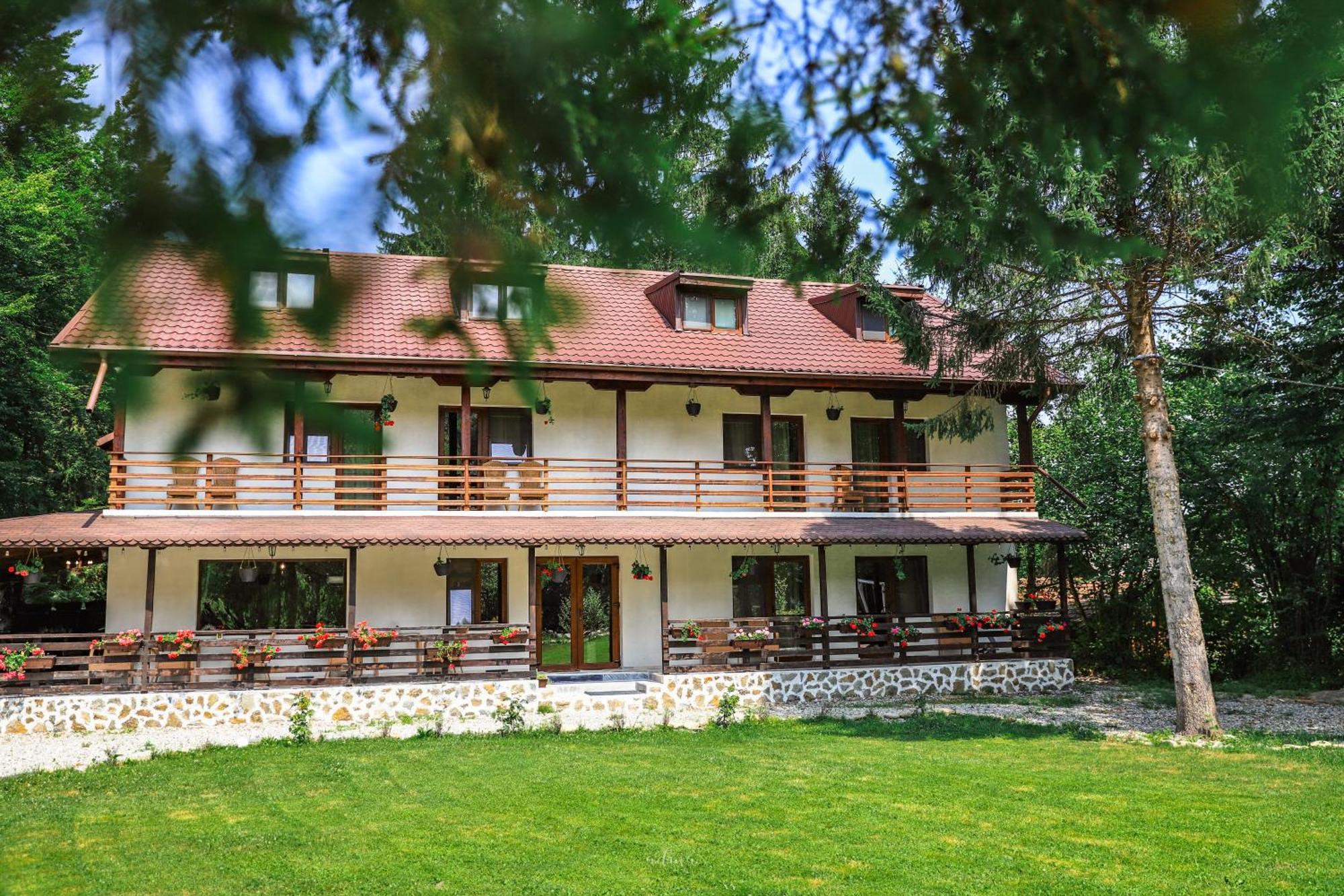 Pensiunea Vinatur Porumbacu de Sus Exterior foto