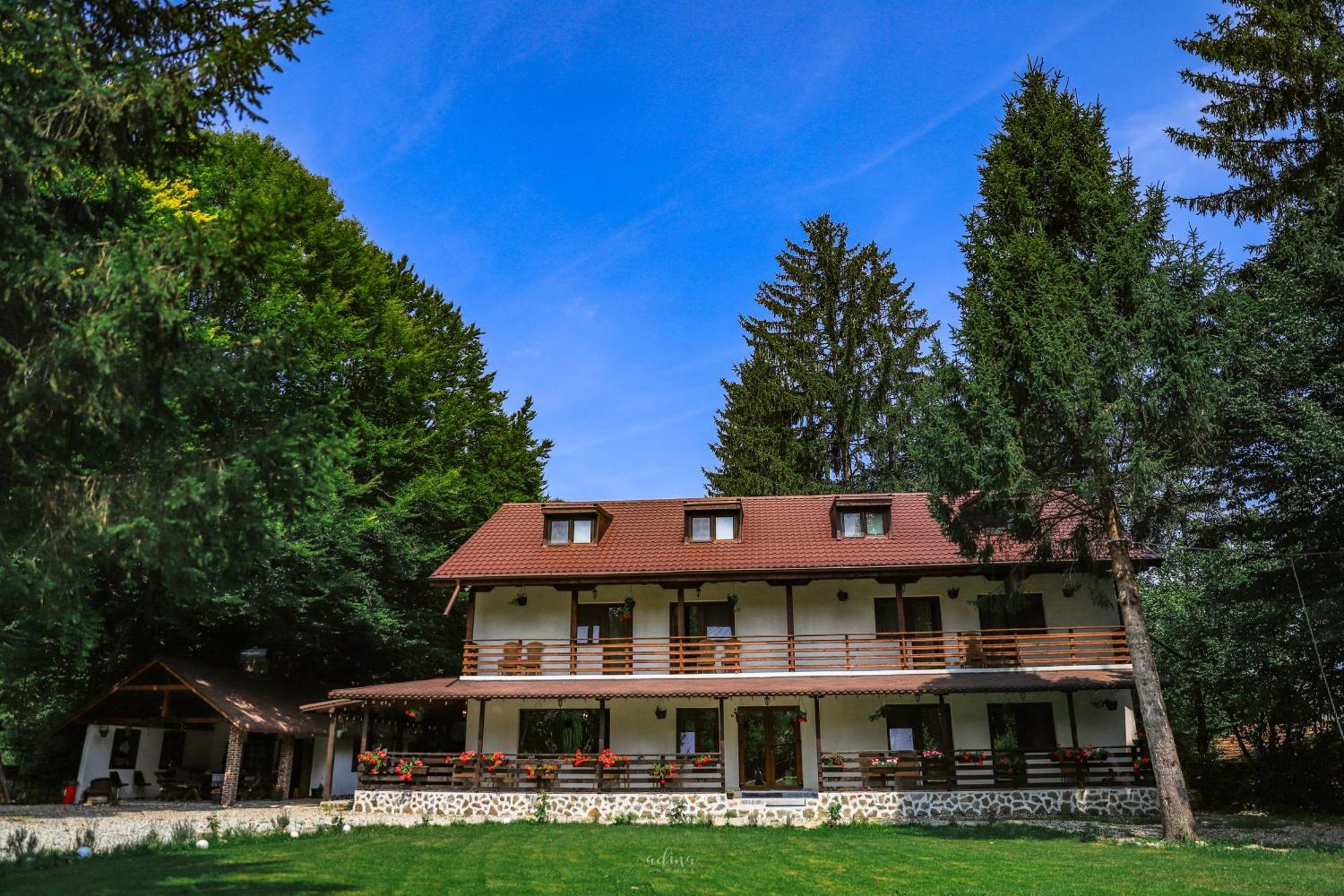 Pensiunea Vinatur Porumbacu de Sus Exterior foto