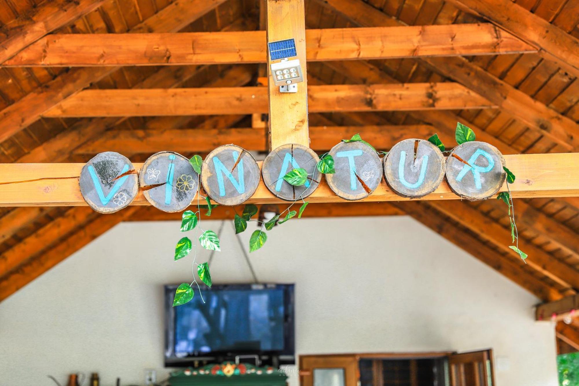 Pensiunea Vinatur Porumbacu de Sus Exterior foto