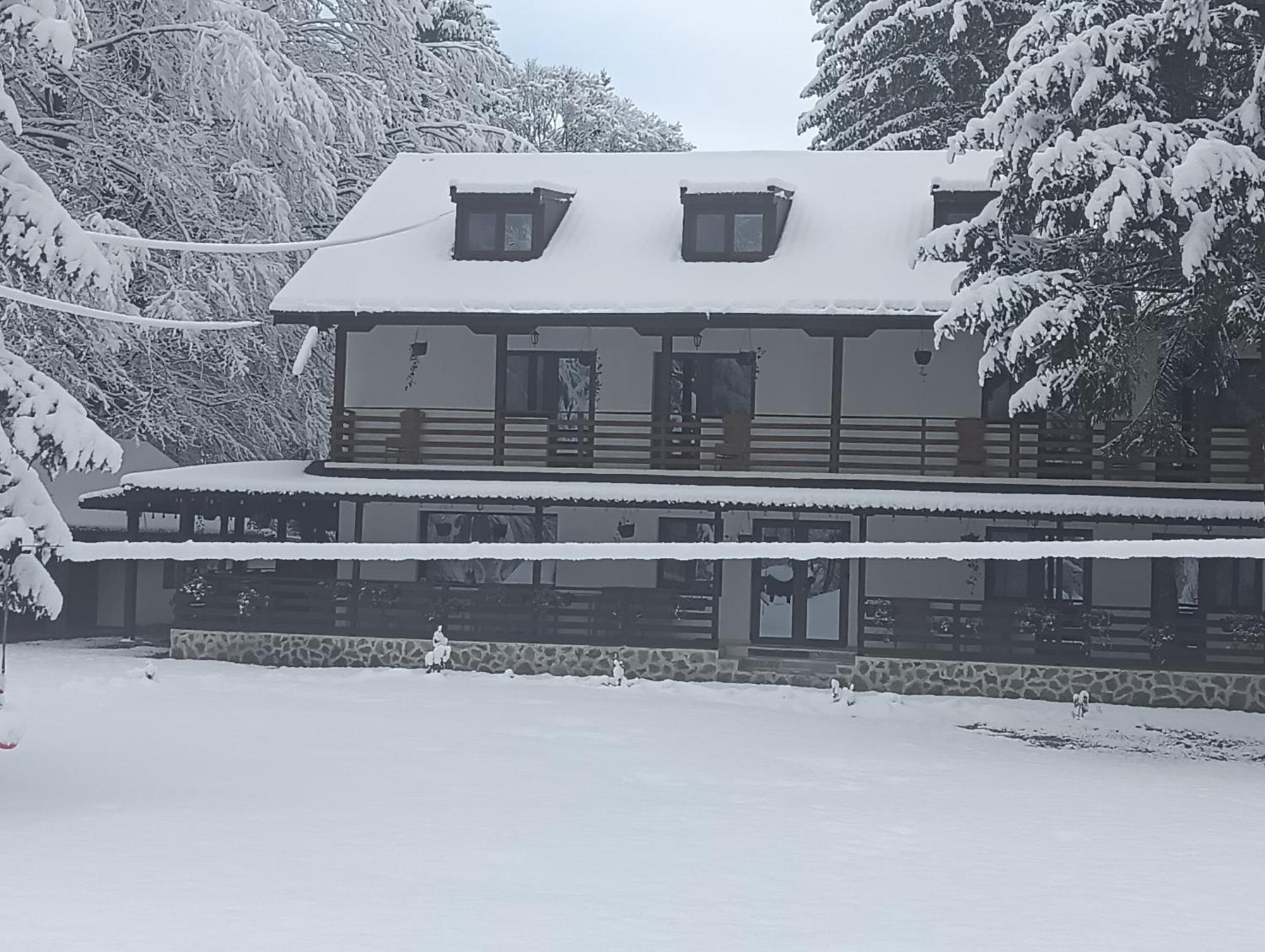 Pensiunea Vinatur Porumbacu de Sus Exterior foto
